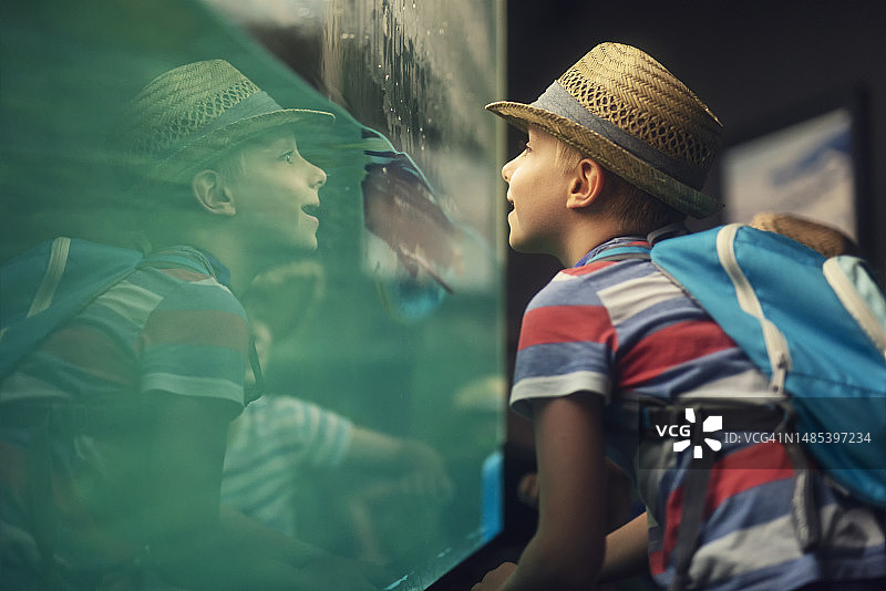 参观小型动物园的儿童图片素材