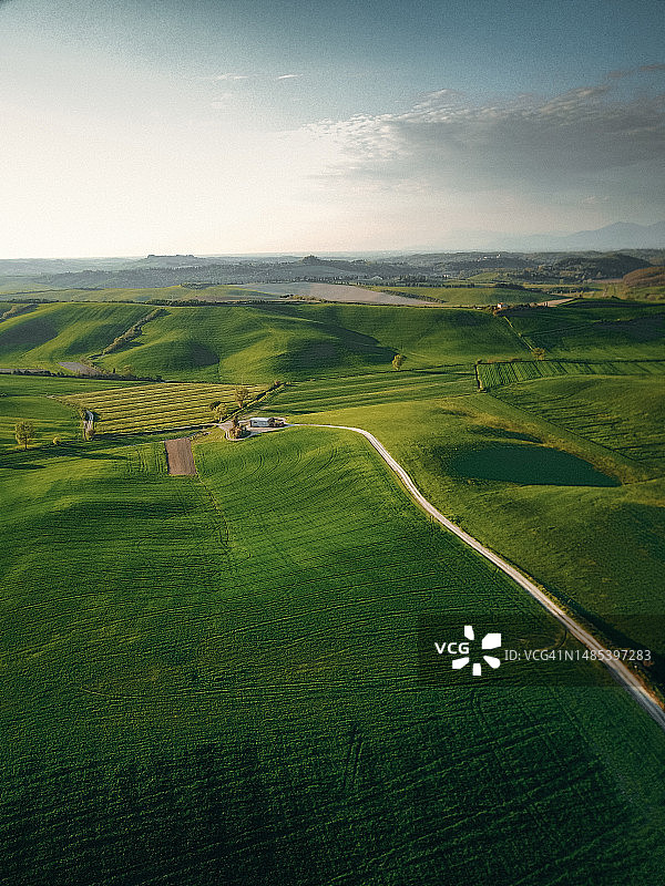 绿色麦田山丘图片素材