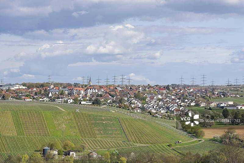 德国巴登-符腾堡内卡韦斯特海姆村，葡萄种植区图片素材
