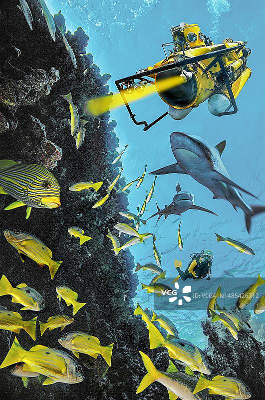 海底世界：潜艇、鱼、鲨鱼、潜水员，埃及红海图片素材