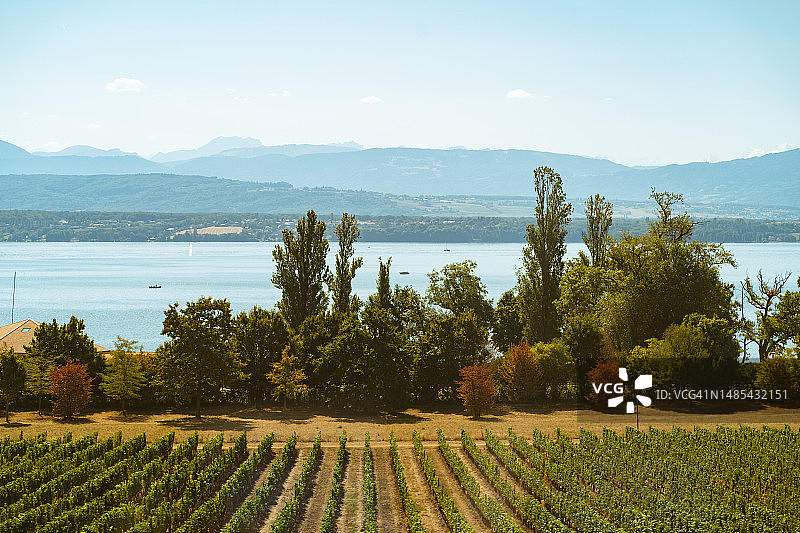 乘坐火车看世界图片素材