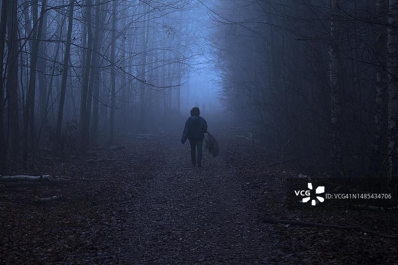 女人在黄昏时分穿过森林，德国北莱茵-威斯特法伦州图片素材