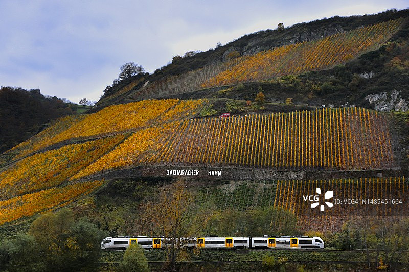 列车通过巴哈拉赫-哈恩葡萄园图片素材