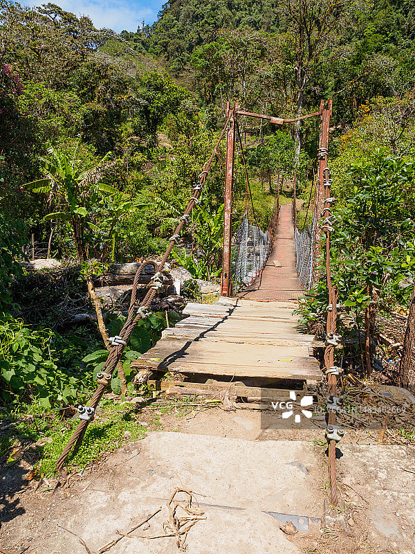 巴拿马西部博克特镇外的悬索桥图片素材