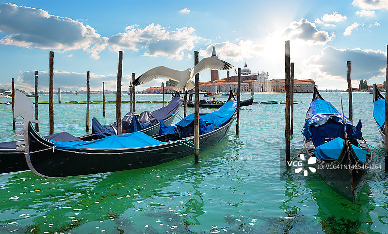 意大利威尼斯大运河上的贡多拉图片素材