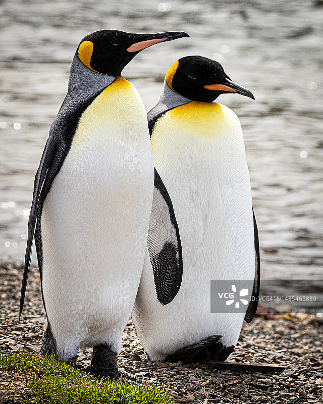 一起去酒吧喝一杯图片素材