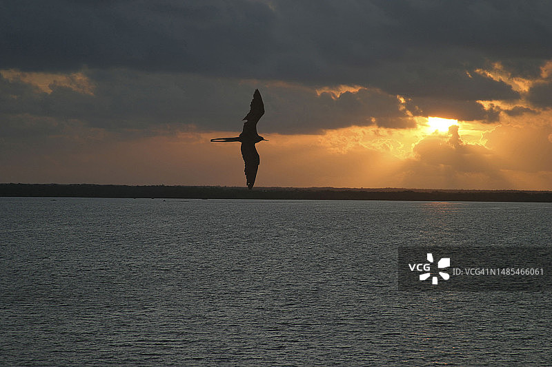 日落时分，在伯利兹凯科克海滩上跳跃的女人的轮廓图片素材