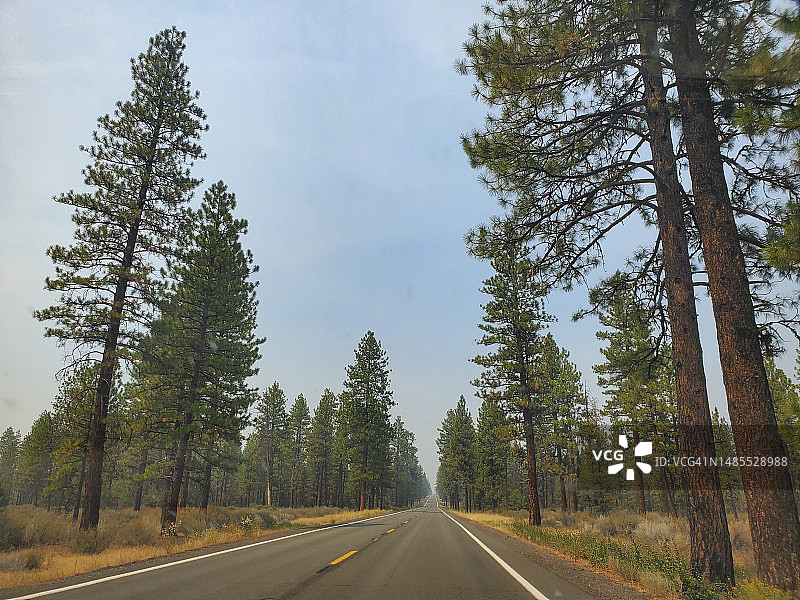 加利福尼亚州沙斯塔-三位一体国家森林的空旷乡村道路图片素材