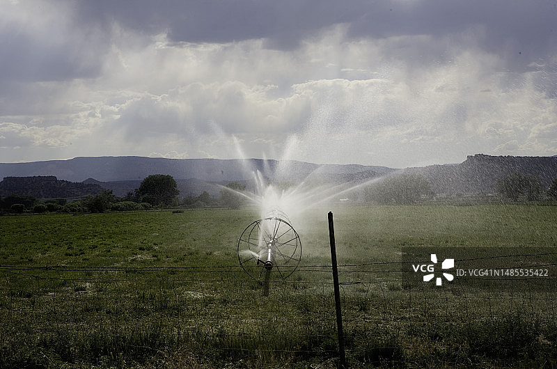 给农作物浇水图片素材