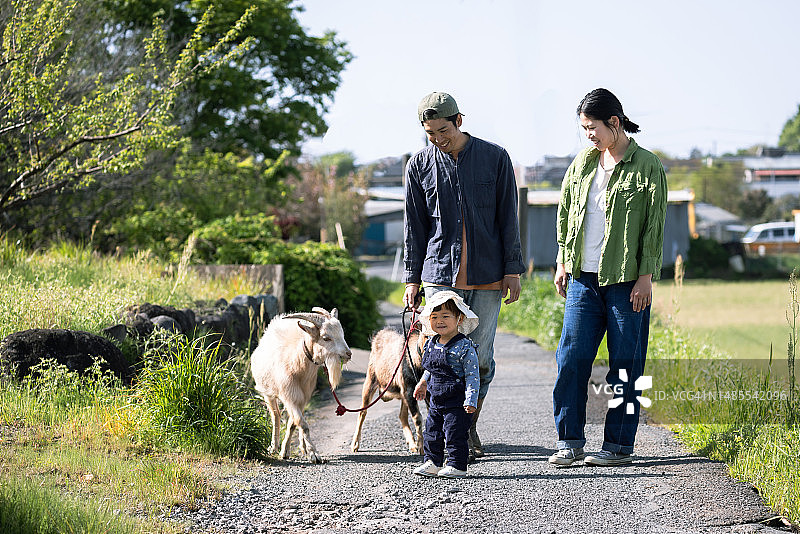 农场家庭与宠物山羊散步图片素材