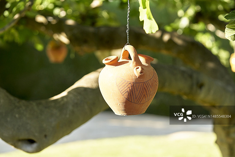 晴天里悬挂在树枝上的西班牙风格陶罐图片素材