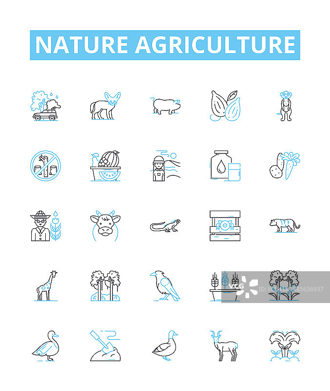 自然农业矢量线性图标集：农业、自然、作物、灌溉、种植等概念符号图片素材