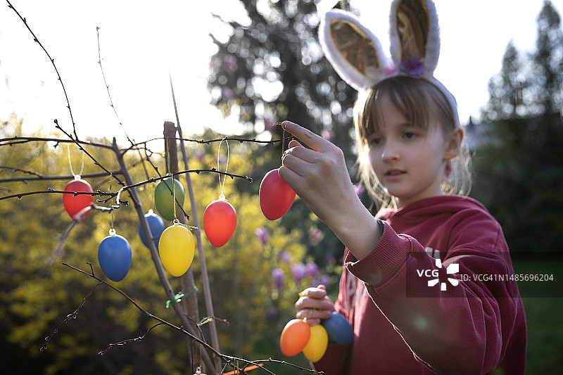 （10-11岁）戴着兔子耳朵的孩子将彩色塑料复活节彩蛋装饰品挂在后花园一棵小树的春季树枝上图片素材