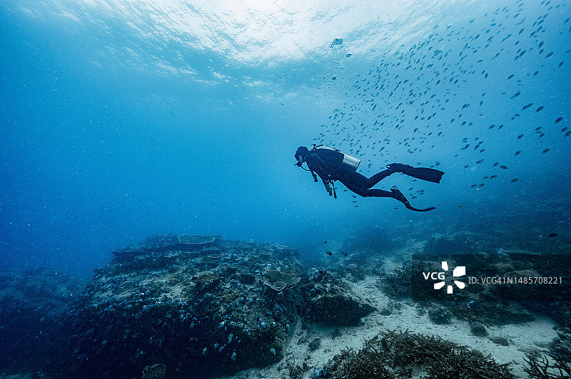潜水员探索泰国安达曼海清澈的海水图片素材