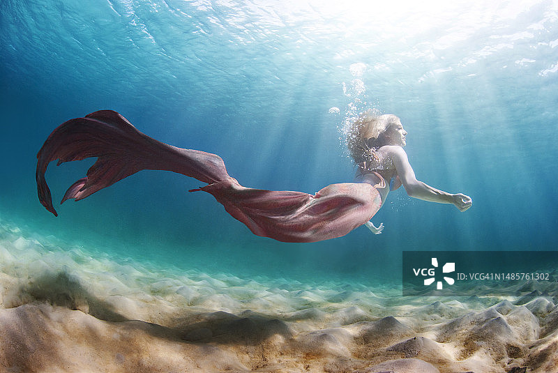 美人鱼畅游加勒比海图片素材