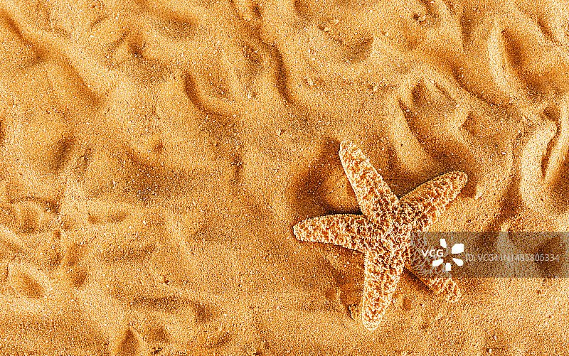 金色沙滩上的海星背景，罗马尼亚奥拉迪亚图片素材