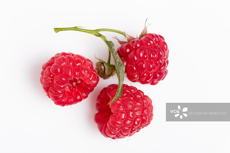 白色背景上的覆盆子叶健康食品图片素材