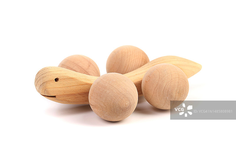 乌龟寓意慢行，摩尔多瓦图片素材