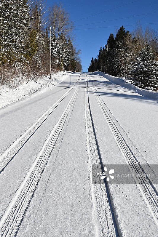加拿大雪树之间的空旷道路图片素材