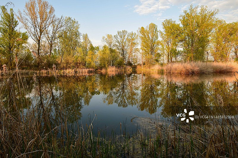 匈牙利森林湖泊风光图片素材