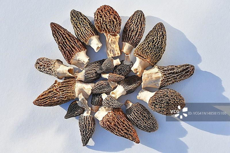 法国餐桌上的高角度视角羊肚菌图片素材