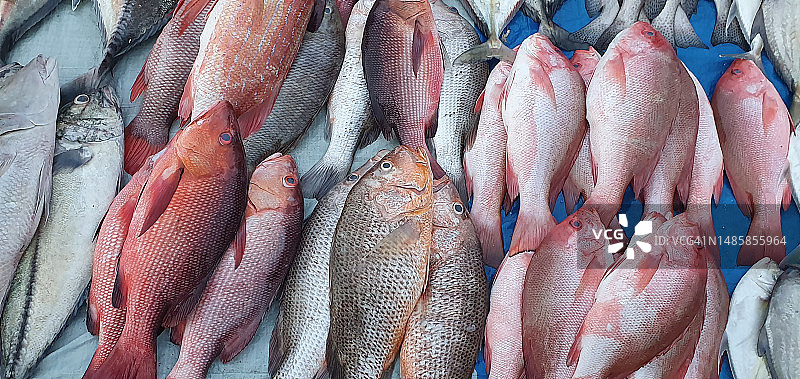 市场出售的红鲷鱼高角度视图图片素材
