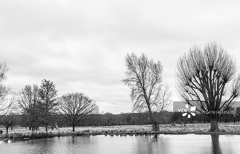 英国里士满湖泊风光图片素材