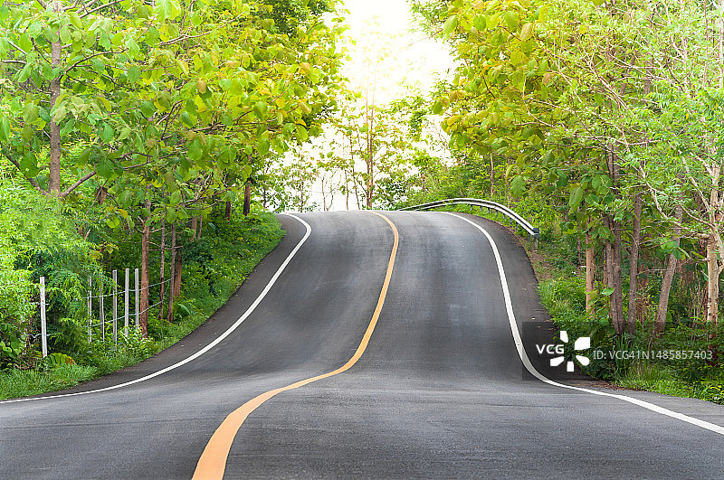 道路两侧绿树成荫的乡村公路弯道图片素材