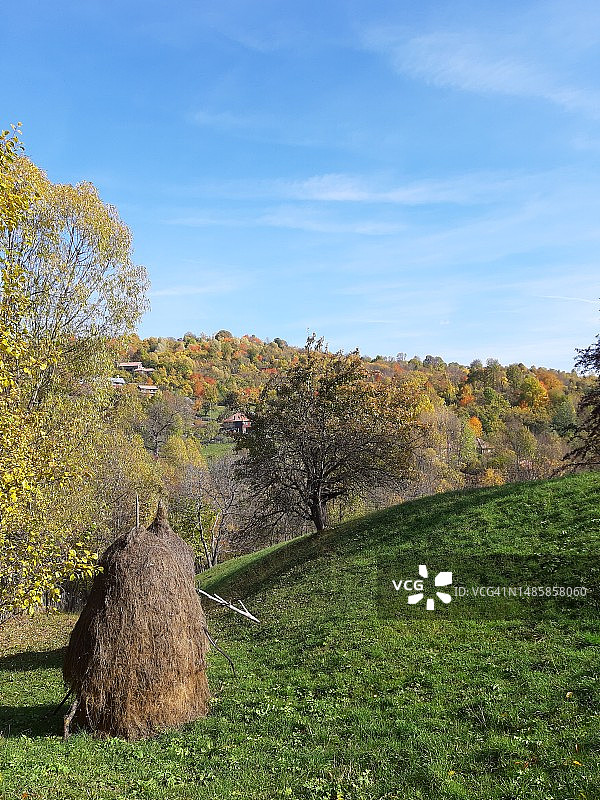 秋季罗马尼亚的树木景色图片素材