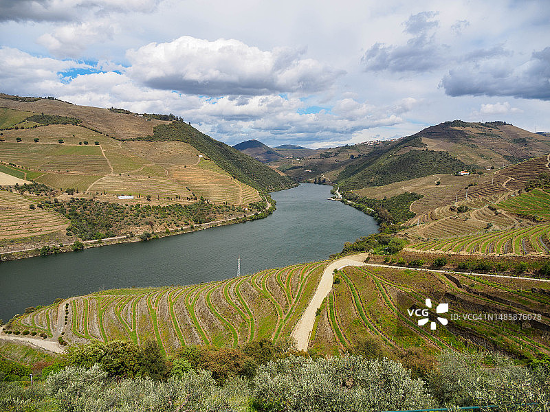 葡萄牙杜罗河谷葡萄酒产区的深谷图片素材