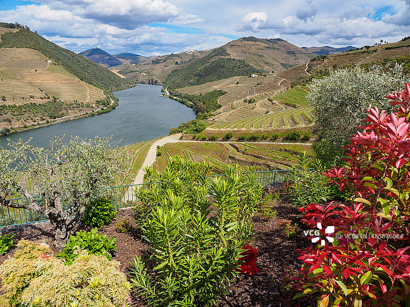 葡萄牙杜罗河谷葡萄酒产区的深谷图片素材