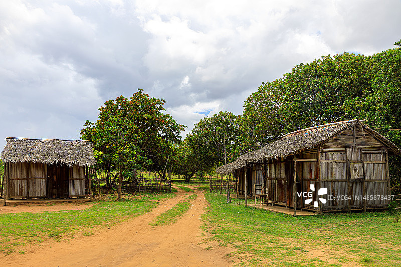 马达加斯加的性质图片素材