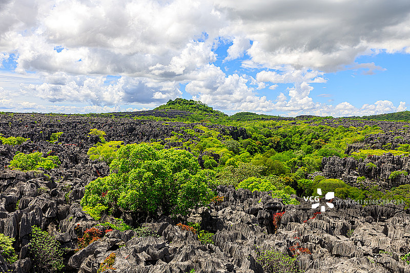 马达加斯加青灰色石林图片素材