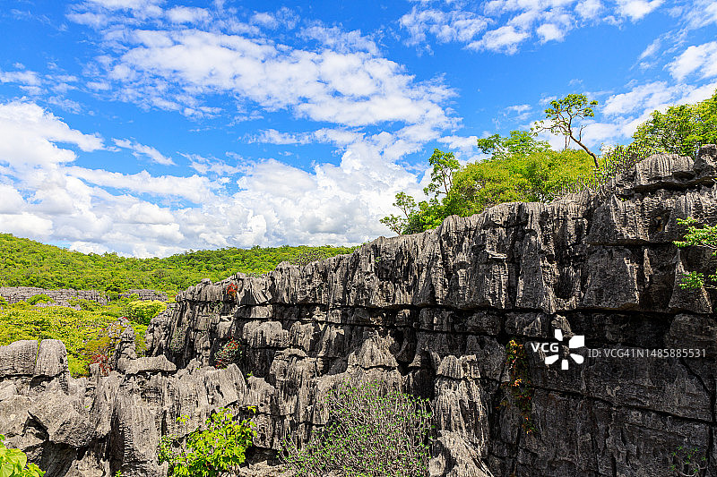 马达加斯加青灰色石林图片素材
