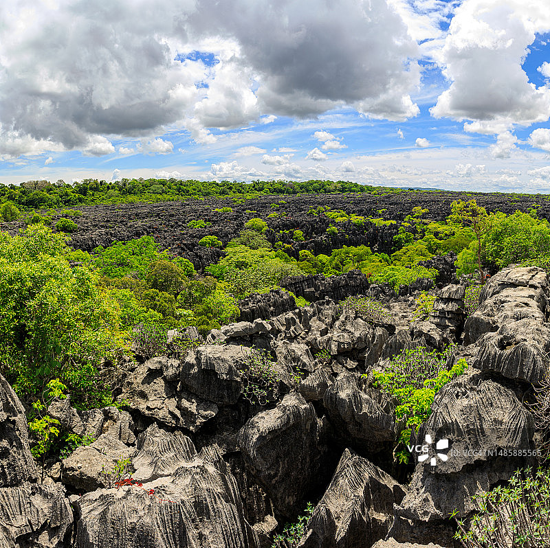 马达加斯加青灰色石林图片素材
