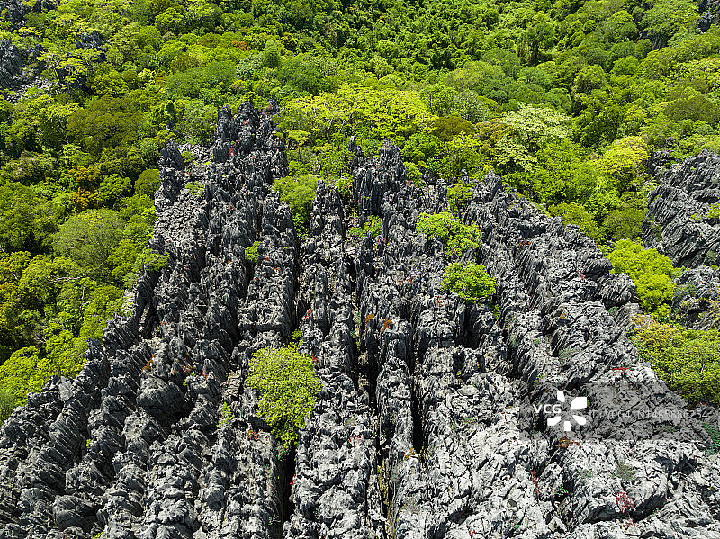 马达加斯加青灰色石林图片素材