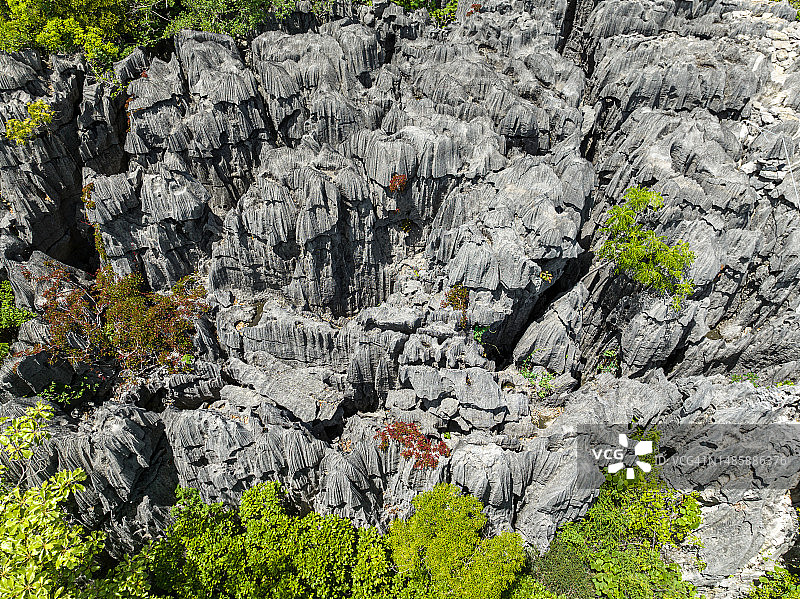 马达加斯加青灰色石林图片素材