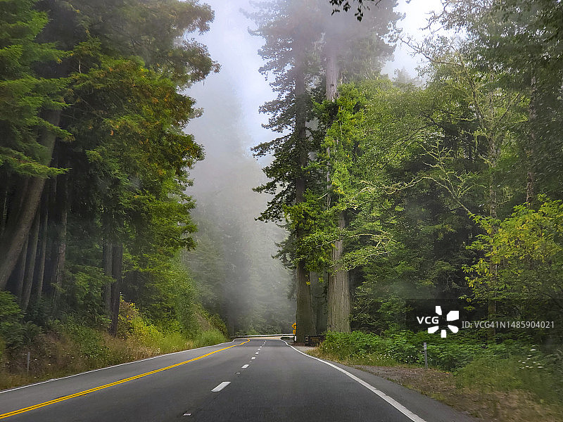 红杉国家公园的风景公路，加利福尼亚州图片素材