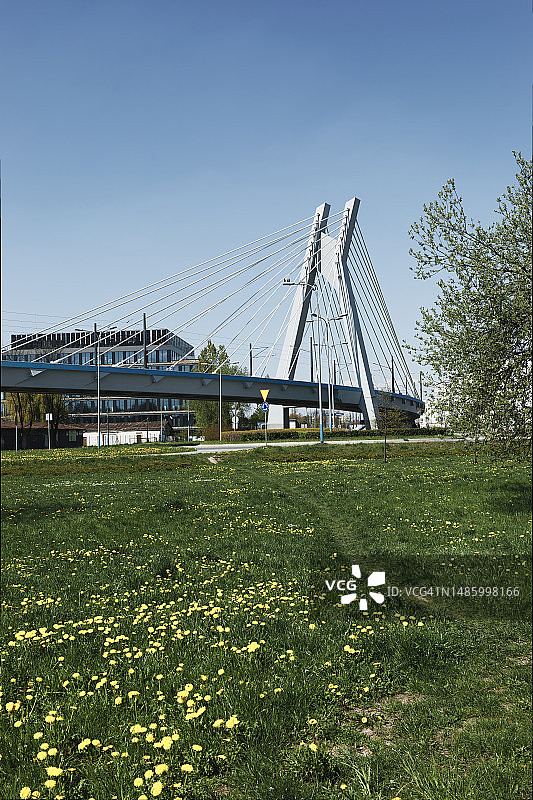 现代立交桥和草地图片素材