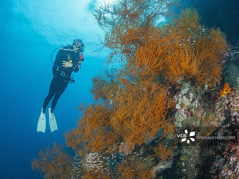 潜水员在印度尼西亚珊瑚礁附近游泳图片素材
