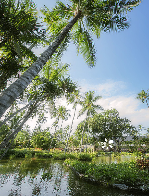 印度尼西亚巴厘岛努沙杜瓦海滩乡村风景图片素材