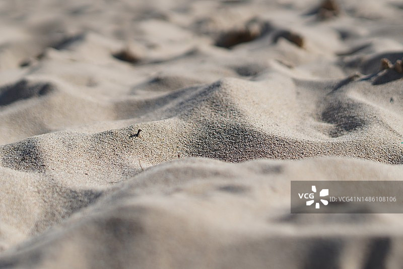 沙子全画幅照片图片素材