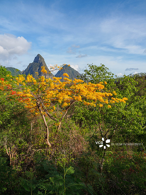 东加勒比海岛国圣卢西亚图片素材