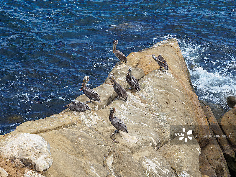 加利福尼亚州拉霍亚崎岖的海岸线图片素材