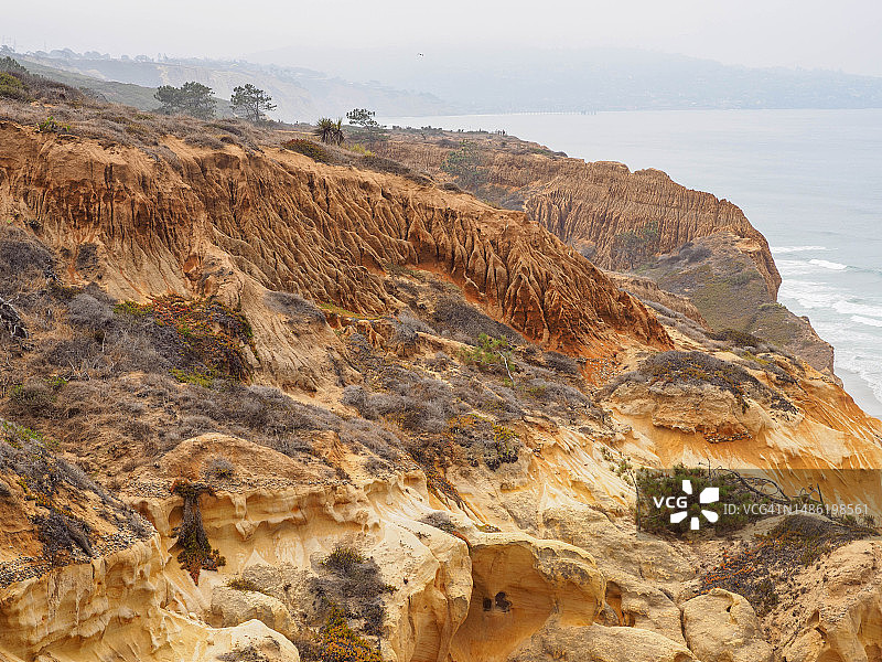 加利福尼亚州托里松州立自然保护区图片素材