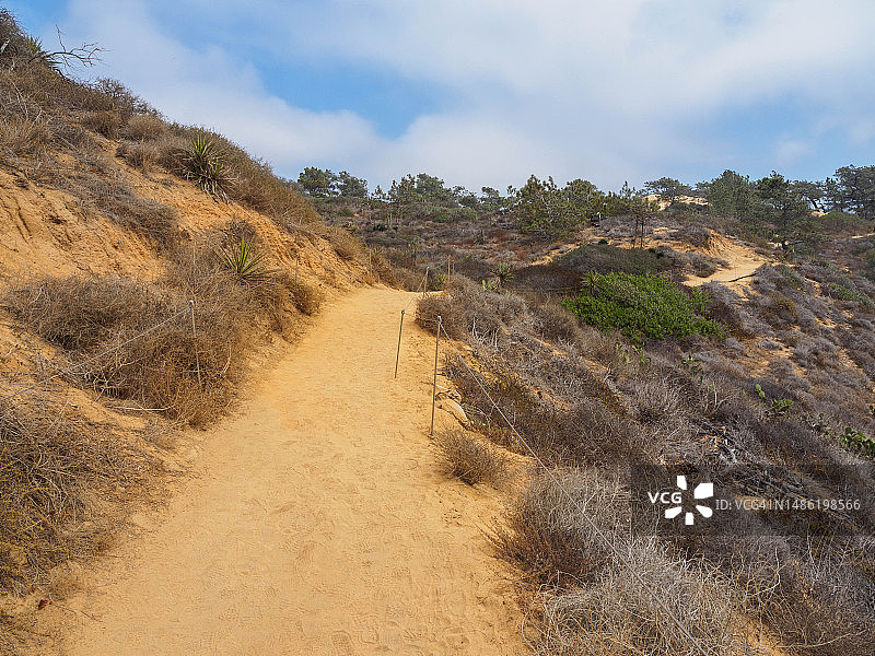 加利福尼亚州托里松州立自然保护区图片素材