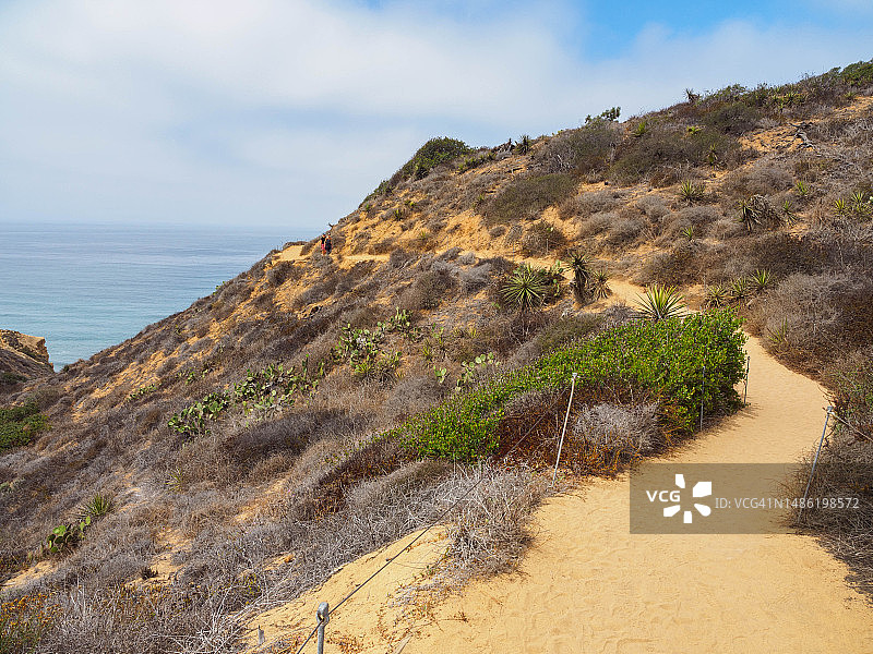 加利福尼亚州托里松州立自然保护区图片素材