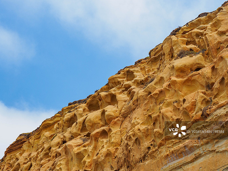 加利福尼亚州托里松州立自然保护区图片素材