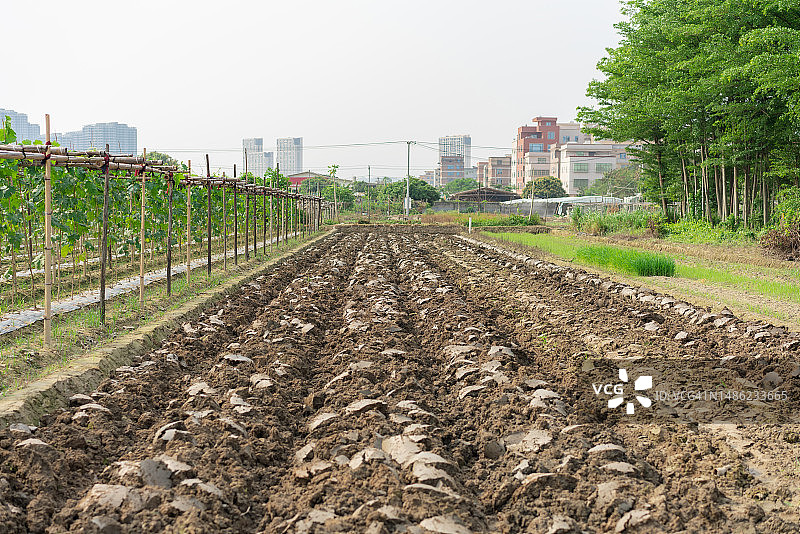 城市郊区的农田图片素材