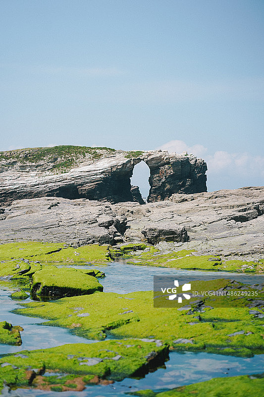 空旷海滩上覆盖着海藻的岩石图片素材